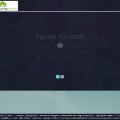 Zakładanie terenów zielonych Poznań