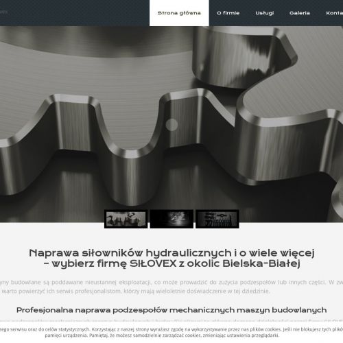 Uszczelniacze do siłowników hydraulicznych - Katowice