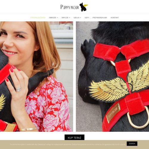 Sklep ze smyczami dla psów