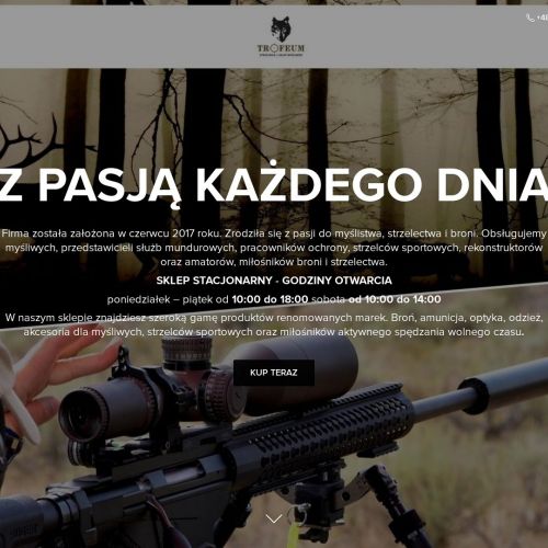 Malbork - cele strzeleckie metalowe