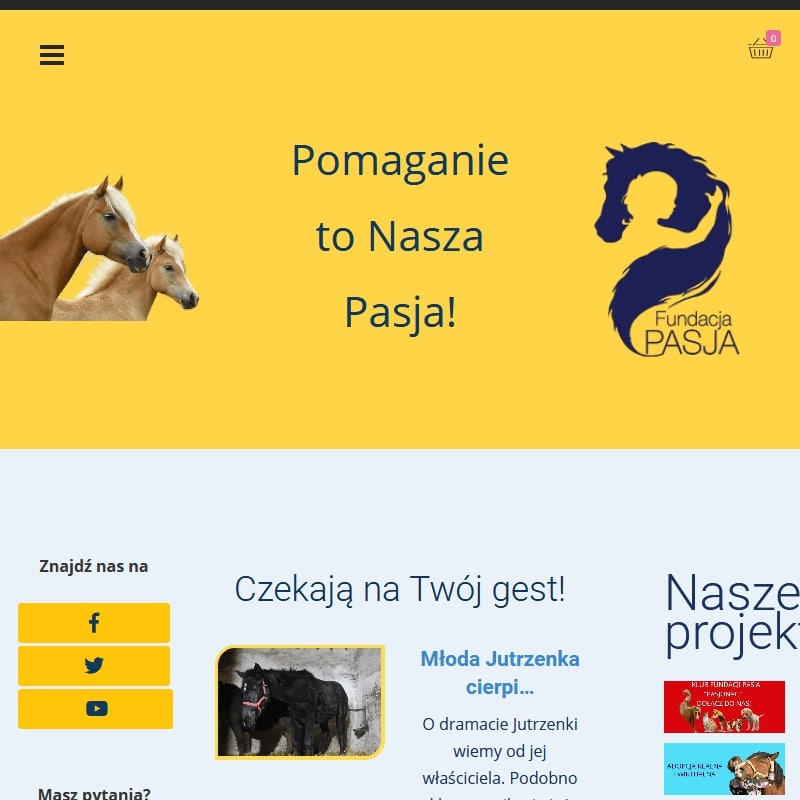 Organizacje ochrony zwierząt