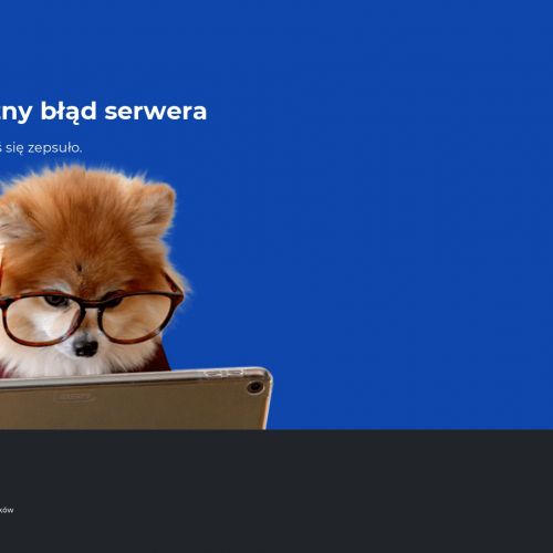 Kurs na wózek widłowy wrocław cena w Oławie