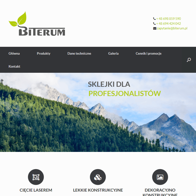 Sklejka do gięcia - Poznań