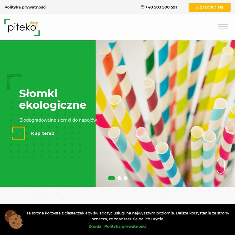Warszawa - talerz z trzciny cukrowej